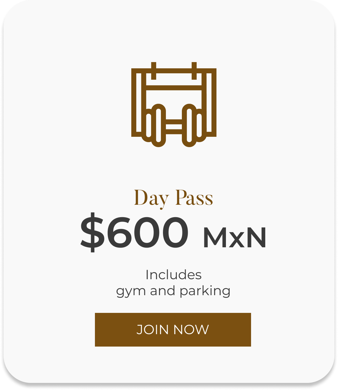 Day Pass Day Pass